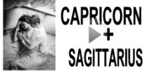 Capricorn + Sagittarius Compatibility