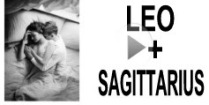 Leo + Sagittarius Compatibility