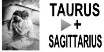 Taurus + Sagittarius Compatibility