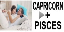 Capricorn + Pisces Compatibility