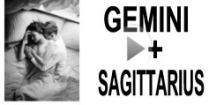 Gemini + Sagittarius Compatibility