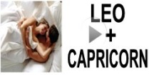 Leo + Capricorn Compatibility
