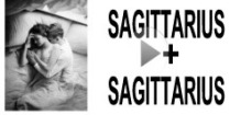 Sagittarius + Sagittarius Compatibility