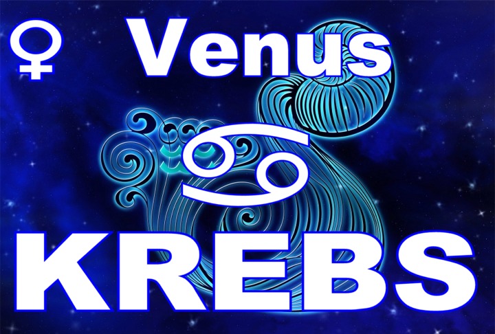 Krebs Venus