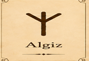 Algiz Rune Video